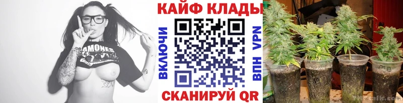 Где продают наркотики Сычёвка гидра   NBOMe  АМФЕТАМИН  ГАШ  Меф мяу мяу  Конопля  COCAIN 