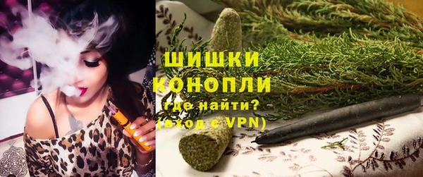 гашик Медвежьегорск