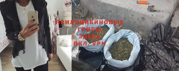 гашик Медвежьегорск