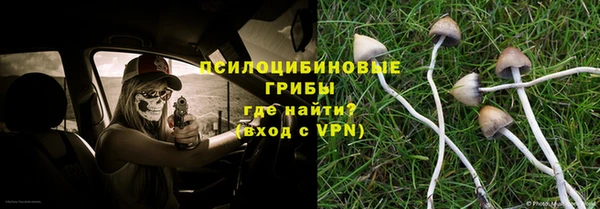 гашик Медвежьегорск