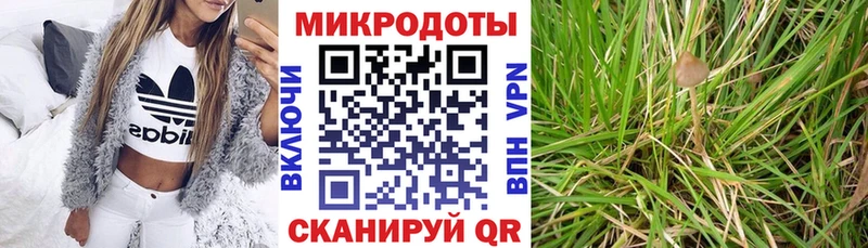 Галлюциногенные грибы MAGIC MUSHROOMS  Сычёвка 
